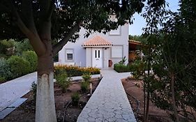 Studio Katafigi