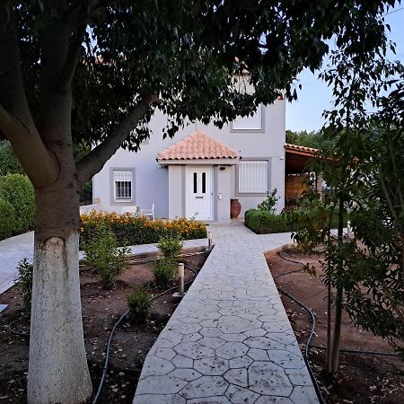 Studio Katafigi Ανάβυσσος Εξωτερικό φωτογραφία