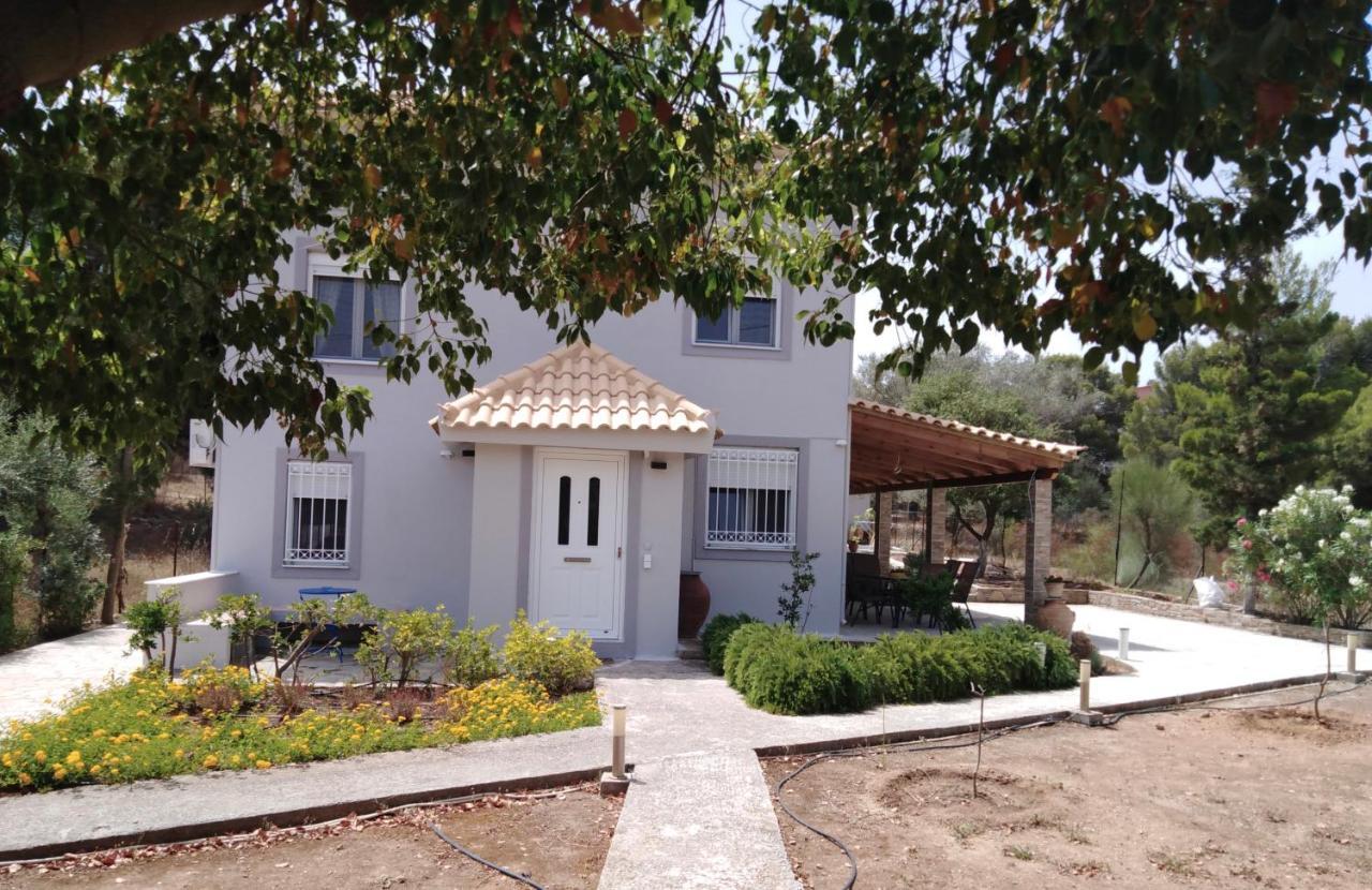 Studio Katafigi Ανάβυσσος Εξωτερικό φωτογραφία