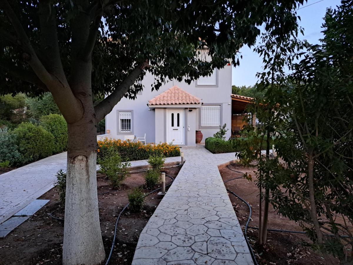 Studio Katafigi Ανάβυσσος Εξωτερικό φωτογραφία